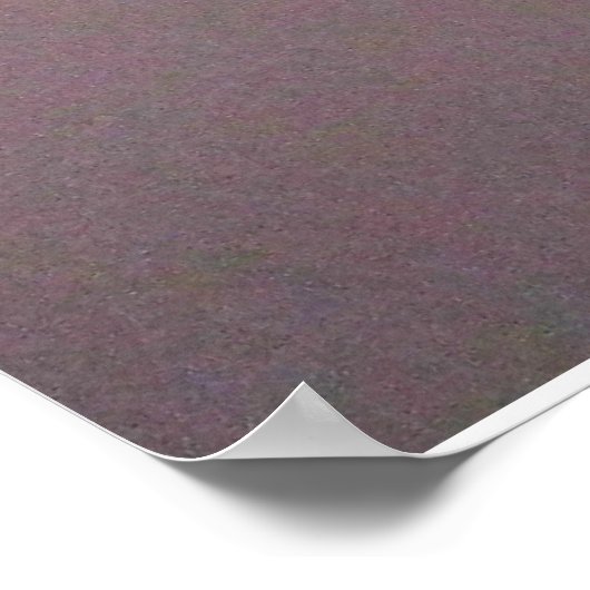 C'EST ÇA ? Poster POEM (Coin)