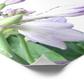 C'EST ÇA ? Poster POEM (Coin)