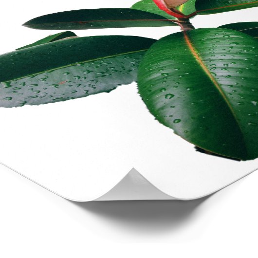 C'EST ÇA ? Poster POEM (Coin)