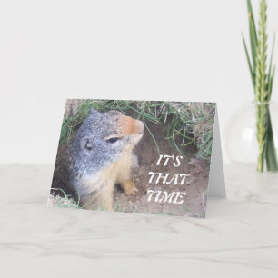 C'est carte du jour de ce Groundhog heureux de