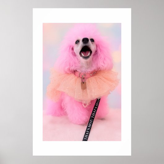 C'est chaud, c'est rose, affiche rétro kawaii Cani (Devant)