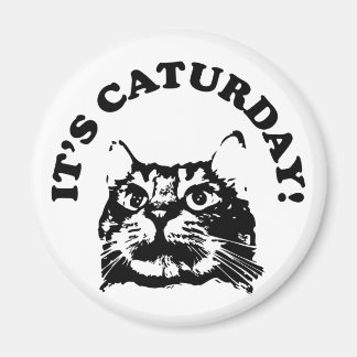 C'est du Magnet Caturday
