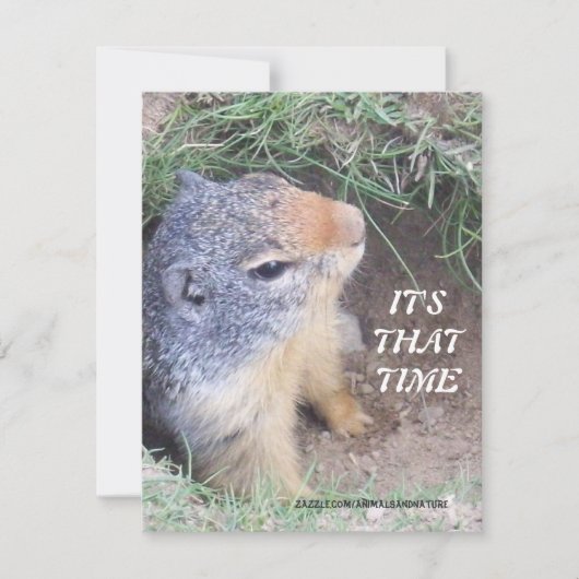 C'est invitation du jour de ce Groundhog de fois (Devant)