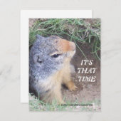 C'est invitation du jour de ce Groundhog de fois (Devant / Derrière)