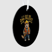 C'est juste un projet de barrage après un autre am (devant)