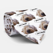 C'est la cravate de la vie (Roulé)