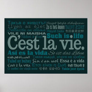 C'est La Vie custom poster
