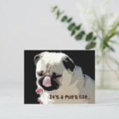 C'est la vie d'un carlin… Carte postale (Debout devant)