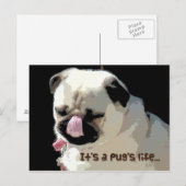 C'est la vie d'un carlin… Carte postale (Devant / Derrière)