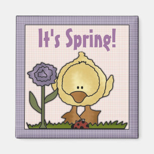 C'est le Magnet de poussins de printemps