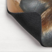 C'est le tapis de souris d'or de patte de penny (Coin)