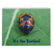 C'est les Beetles ! Calendrier d'injection (Protection)