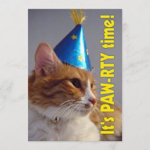 C'est l'heure de la fête pour le chat - Invitation