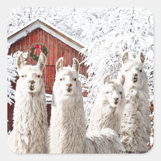 "C'est Noël !" Autocollants (Devant)