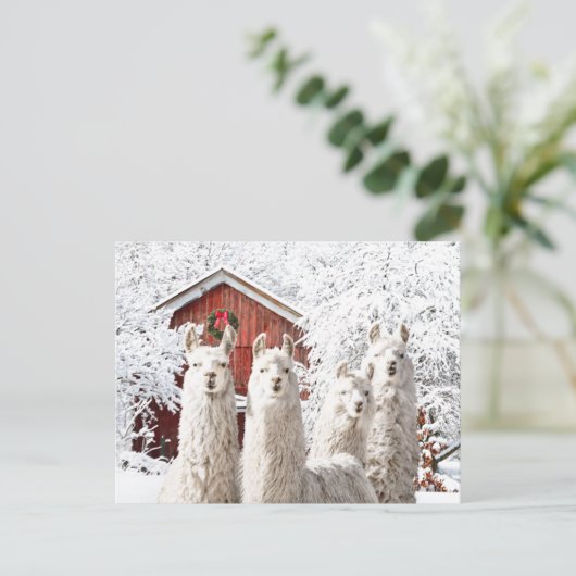 "C'est Noël !" Carte postale (Debout devant)