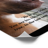 "C'est ton ami, ton partenaire..." Affiche (Coin)