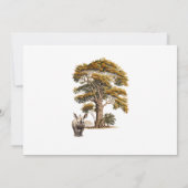 C'est un Baby shower Safari Boy Invitation (Dos)