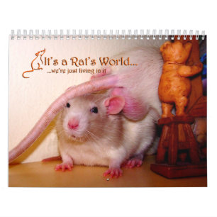 C'est un calendrier 2016 du monde de rat