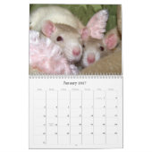C'est un calendrier 2016 du monde de rat (Jan 2027)
