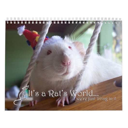 C'est un calendrier 2016 du monde de rat (Protection)