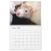 C'est un calendrier 2016 du monde de rat (Jan 2026)