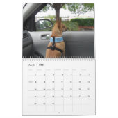 C'est un calendrier de chiwawa de chose de Chi (Mar 2026)