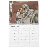 C'est un calendrier de chiwawa de chose de Chi (Feb 2026)