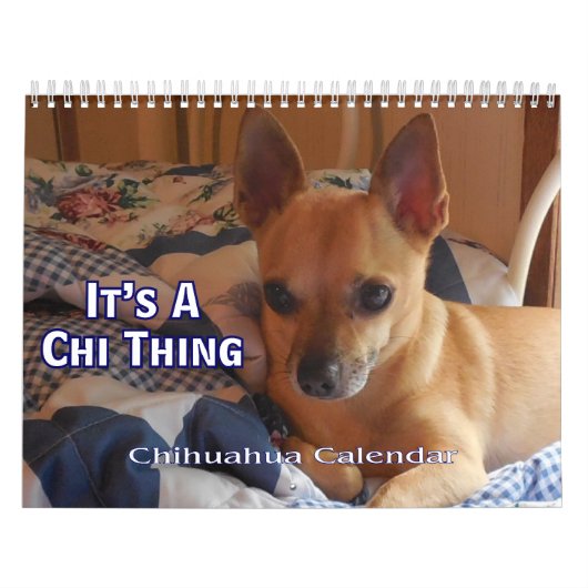 C'est un calendrier de chiwawa de chose de Chi (Protection)