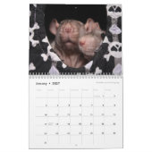 C'est un calendrier du monde des rats 2016 (Jan 2027)