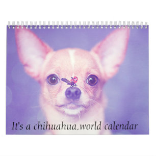 C'est un calendrier mondial de Chihuahua