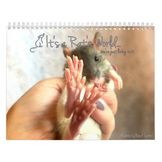 C'est un calendrier mondial de Rat (Protection)