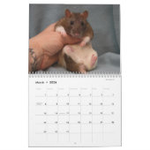 C'est un calendrier mondial de Rat (Mar 2026)