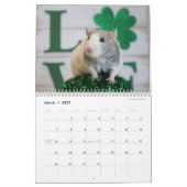 C'est un calendrier mondial de Rat (Mar 2027)