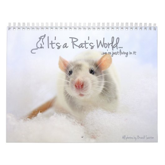 C'est un calendrier mondial de Rat (Protection)