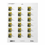 C'est un Étiquette de adresse de chute d'eau de Do (Feuille entière)