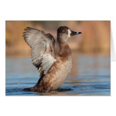 C'est un Flapper (Devant horizontal)