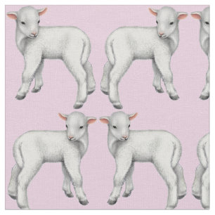 C'est un petit tissu d'agneau de bébé de fille