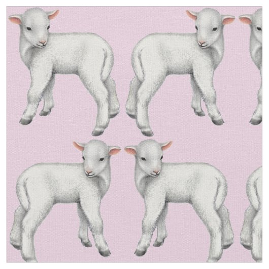 C'est un petit tissu d'agneau de bébé de fille (Fermer)