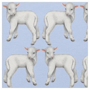 C'est un petit tissu d'agneau de bébé de garçon