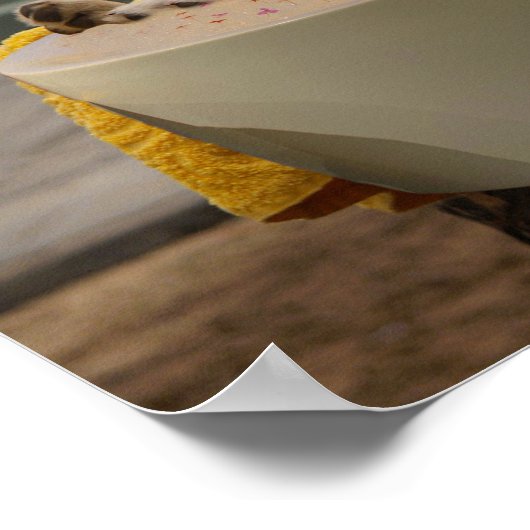 C'est un poster de la vie des chiens (Coin)