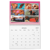 C'est un Vizsla ! Calendrier (Jan 2027)