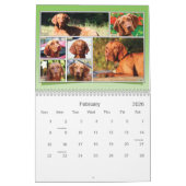 C'est un Vizsla ! Calendrier (Feb 2026)