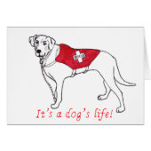 C'est une citation de la vie de chien simple dessi (Devant horizontal)