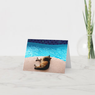C'est une vie de chien ~ Carte / Invitations
