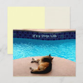 C'est une vie de chien ~ Carte postale / Invitatio (Devant / Derrière)