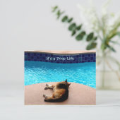 C'est une vie de chien ~ Carte postale / Invitatio (Debout devant)