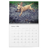 C'est une vie de chien, chien du calendrier du moi (Jan 2026)