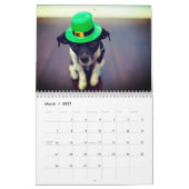 C'est une vie de chien, chien du calendrier du moi (Mar 2027)