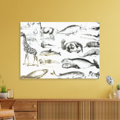 Cetacea Edentata Canvas Afdruk (Insitu (Woonkamer))