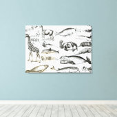 Cetacea Edentata Canvas Afdruk (Insitu (Houten vloer))